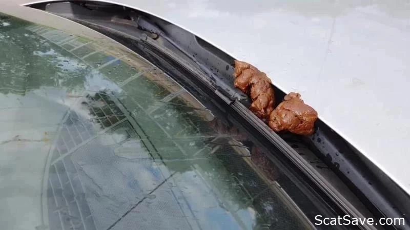 Al Fresco Fecal And Urinary Exhibition On An Automobile - Versauteschnukkis