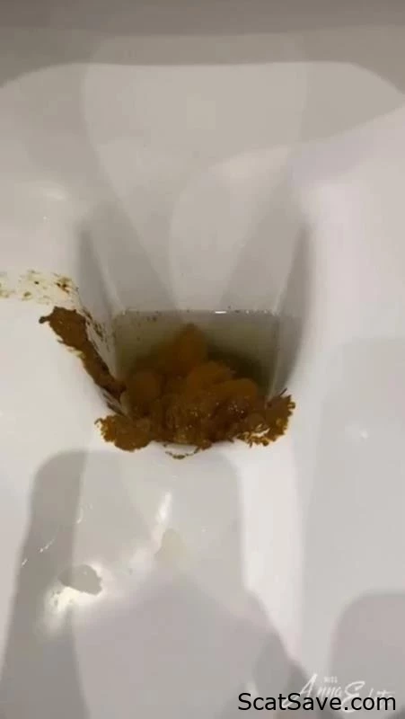 An Abundance Of Shit In The Commode. P1